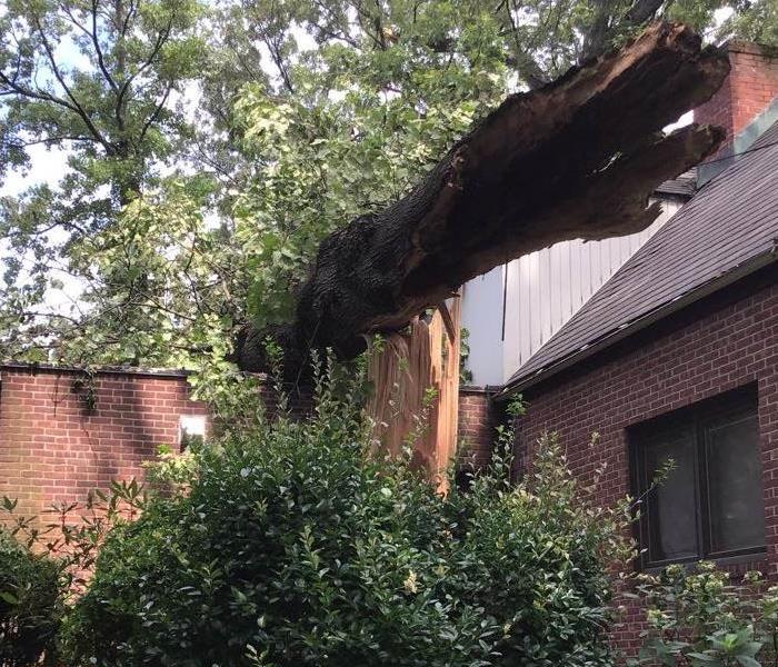 large tree hits roof from storm damage