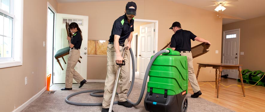 New Hyde Park, NY cleaning services